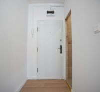 A white entrance with a wood-patterned floor in a studio apartment.