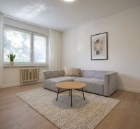 Living room in a studio apartment with a sofa, carpet, and wooden decor flooring.