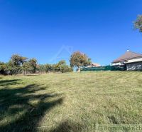 A grassy area and trees in the garden in Pastuchov under a blue sky.