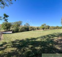 A vast green area in the gardens of Pastuchov, surrounded by trees and a clear sky.