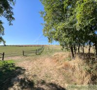 A dirt road with trees and a wooden fence in the Pastuchov Gardens on a sunny day.