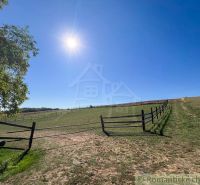 A sunny day in the gardens of Pastuchov with a fence and lush nature.
