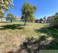 Gardens in Pastuchov with lawns, trees, and houses in the background under a blue sky.
