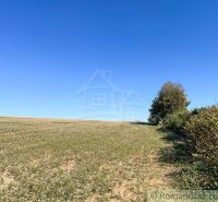 Fields and trees in the Gardens near Pastuchov under the blue sky.
