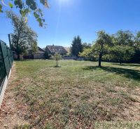 A garden in Pastuchov with a lawn, trees, and fencing on a rural street.