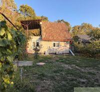 A cottage in Nové Zámky with a terrace, surrounded by nature and vineyards against the backdrop of a forest.