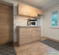 Kitchen corner in a cabin with wood-patterned flooring and a microwave.