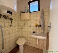 A bathroom in a family house with a toilet, tiles, and retro-style tiling.