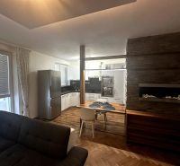 Living room with a kitchenette, sofa, and wooden decor flooring in a two-room apartment.