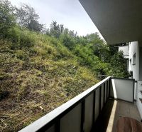 The balcony of a 2-room apartment with a view of a slope with dense vegetation.