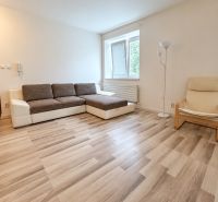 Studio apartment with a sofa, armchair, and wooden decor flooring, light walls.