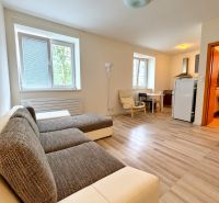 Studio apartment with wood-patterned flooring, a sofa set, and a kitchenette.