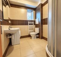 A bathroom in a studio apartment with a shower, washing machine, sink, and toilet.