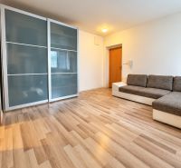 Studio apartment with wood-patterned flooring, built-in wardrobe, and comfortable sofa.
