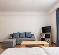 A stylish living area in a studio apartment with a sofa and TV, wooden decor flooring.