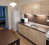 A kitchen in a studio apartment with wooden decor, a stove, and a dining table.