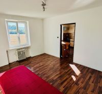 A room with a wooden floor design and a view into the kitchen in a studio apartment.