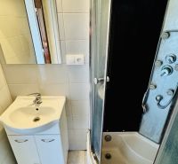 A bathroom with a sink and a shower in a studio apartment.