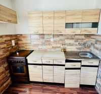 A kitchen in a studio apartment with a wooden decor and stone wall cladding.