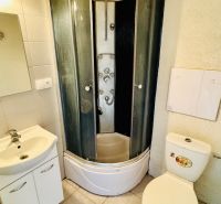 Bathroom with a shower, sink, and toilet in a studio apartment.