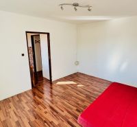 A room in a one-bedroom apartment with a red mattress and a wooden decor floor.