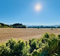A vast field in Malé Kršteňany under a blue sky, surrounded by greenery and sunshine.