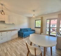 Interior of a 1-room apartment with a sofa, dining table, and wooden decor flooring.