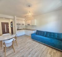 A kitchen in a studio apartment with a wooden decor floor, white furniture, and a blue sofa.
