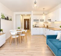 Living room and kitchen in a studio apartment with a wooden decor floor.