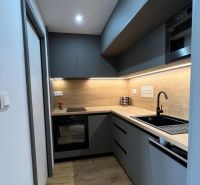 A kitchen in a studio apartment with a wood-patterned floor, gray cabinets, black sink.