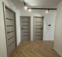 Interior of a 4-room apartment with a wooden decor floor and modern doors.