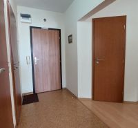 A hallway in a 3-room apartment with a wooden decor floor and doors.