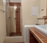 The bathroom in the 3-room apartment has a shower, a sink, and a washing machine.