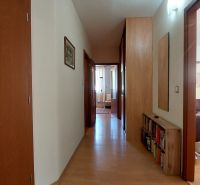 A hallway with a wooden decor floor, doors, and a mirror in a 3-room apartment.