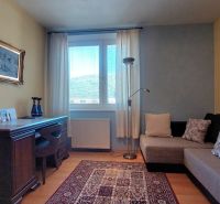 Living room in a 3-room apartment with a sofa, painting, table, and window.