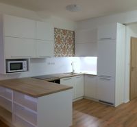 A kitchen with a white unit and a decorative wall in a three-room apartment, with a floor featuring a wood decor.