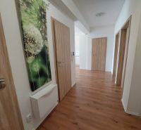 A hallway in a 3-room apartment with a wooden decor floor and a picture of a dandelion.