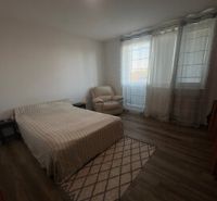 Bedroom in a 2-room apartment with a bed, chair, and wooden decor flooring.