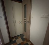 A hallway in a 2-room apartment with a wooden decor floor and a built-in wardrobe.