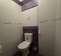A bathroom in a 2-room apartment with tiles in shades of white and purple.