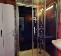 A shower corner with glass doors and a white sink in a 2-room apartment.