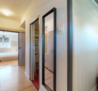 Entrance hallway with wood-patterned flooring and a mirror in a 2-room apartment.