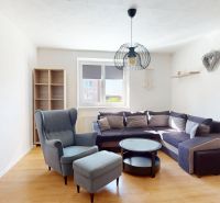 Living room of a two-room apartment with a wooden decor floor, sofa, and armchair.