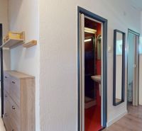 A hallway with a wooden decor floor, a dining table, and an entrance to the bathroom in a 2-room apartment.