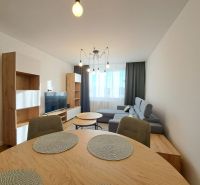 Living room in a two-room apartment with a wooden decor floor and a gray sofa.