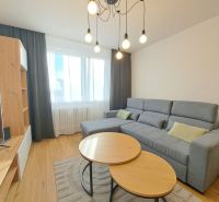 A bright living room in a two-room apartment with a comfortable sofa and a wooden decor floor.