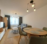 Living room in a two-room apartment with a comfortable sofa and a wooden decor floor.