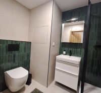 Bathroom in a 2-room apartment with dark green tiles and white sanitary ware.