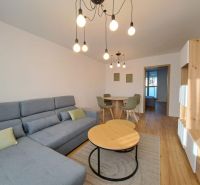 Living room with a sofa, wooden decor flooring, and a dining table in a two-room apartment.