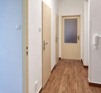 A hallway with three doors and a floor with a wooden decor in a three-room apartment.